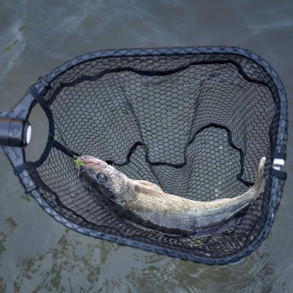 Brutus Fishing Net, Foldable Extendable Fish Landing Net, Lightweight & Portable Fishing Net with Soft EVA Foam Handle, Holds up to 44Lbs/20Kg, Fish-Friendly Mesh for a Safe Release - Image 5